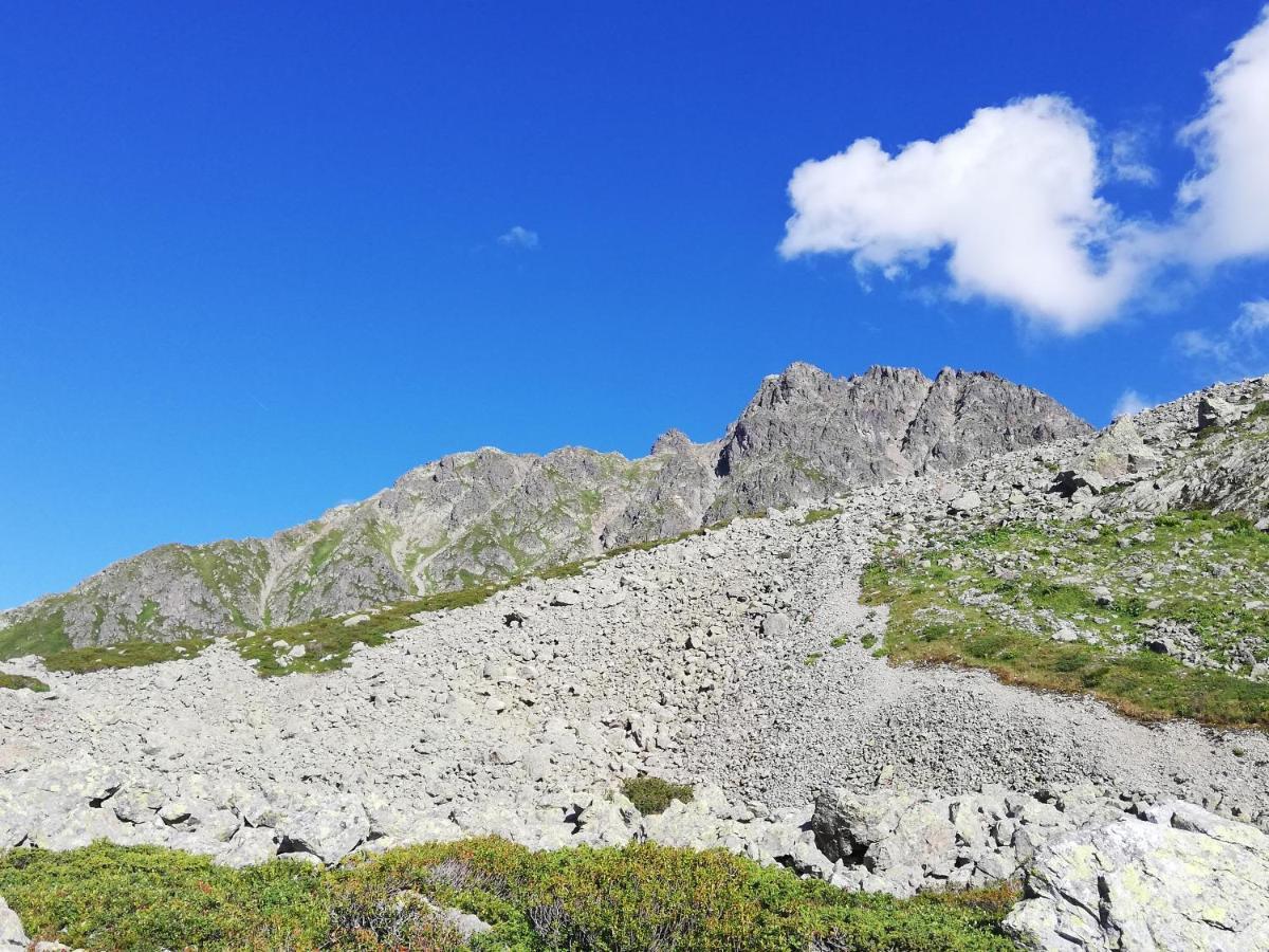 Chambres Et Tables D'Hotes Le Choton A Nono - Col Du Joly Beaufortain 오틀루스 외부 사진