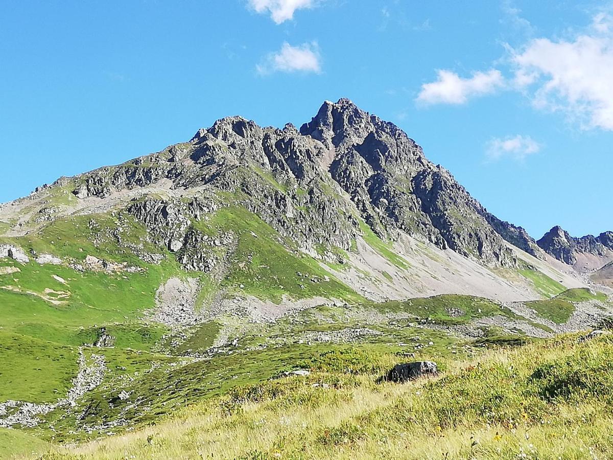 Chambres Et Tables D'Hotes Le Choton A Nono - Col Du Joly Beaufortain 오틀루스 외부 사진