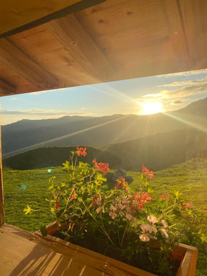 Chambres Et Tables D'Hotes Le Choton A Nono - Col Du Joly Beaufortain 오틀루스 외부 사진