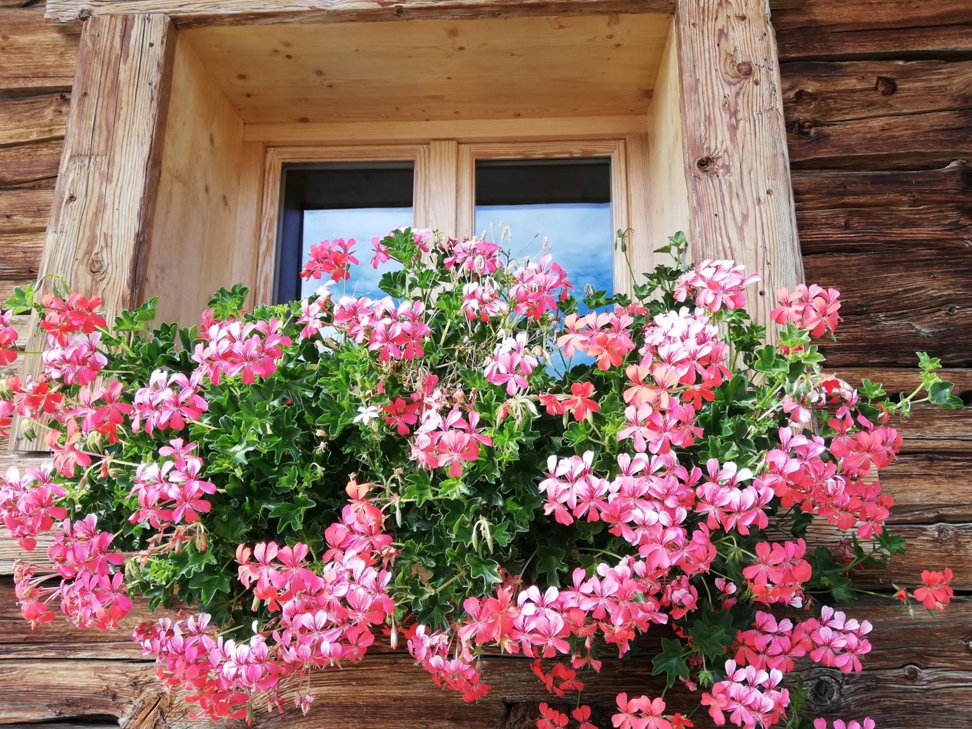 Chambres Et Tables D'Hotes Le Choton A Nono - Col Du Joly Beaufortain 오틀루스 외부 사진